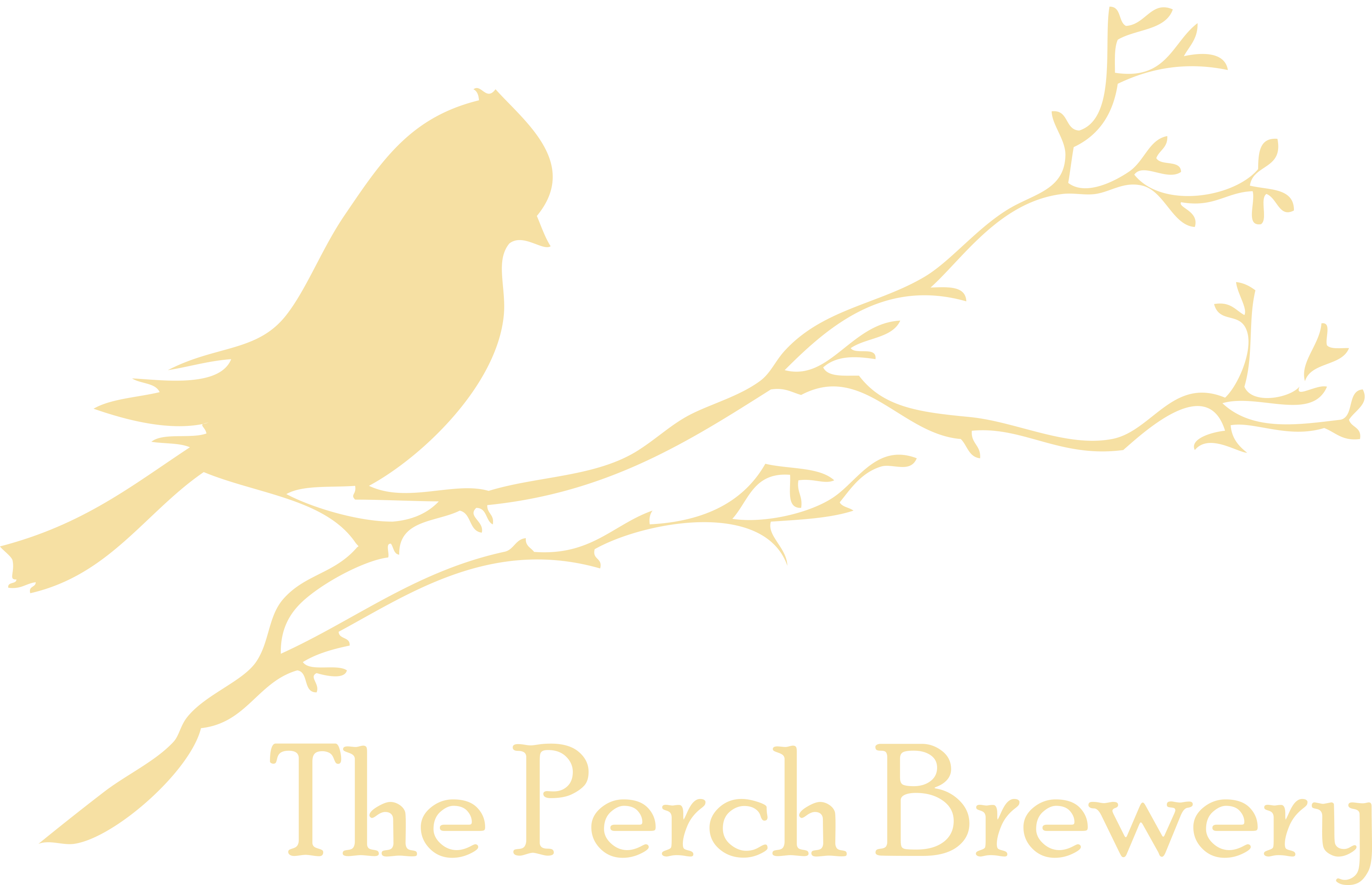 The Perch Brewery | Craft Beer, Craft Food & Feathered Friends